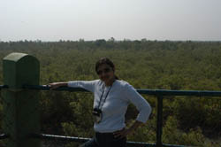 Tiger Watch Tower