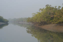 Mud Islands of the Sunderbans