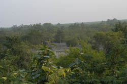 Watch Tower